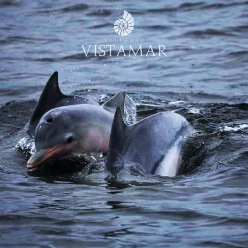Villagio Vistamar إلها كومبريدا المظهر الخارجي الصورة